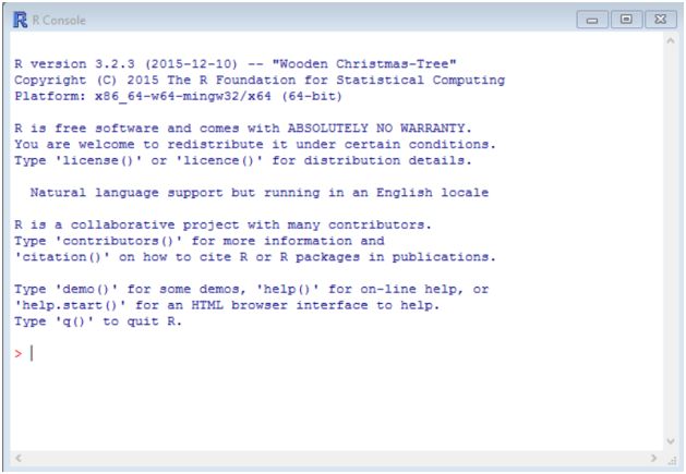 Running the R console